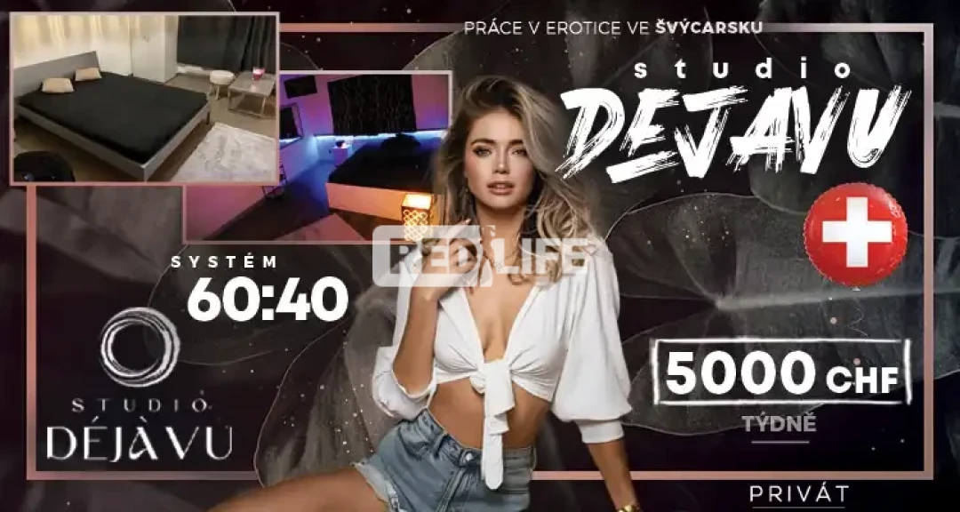 Profesion&aacute;ln&iacute; veden&iacute; a plně vybaven&yacute;,