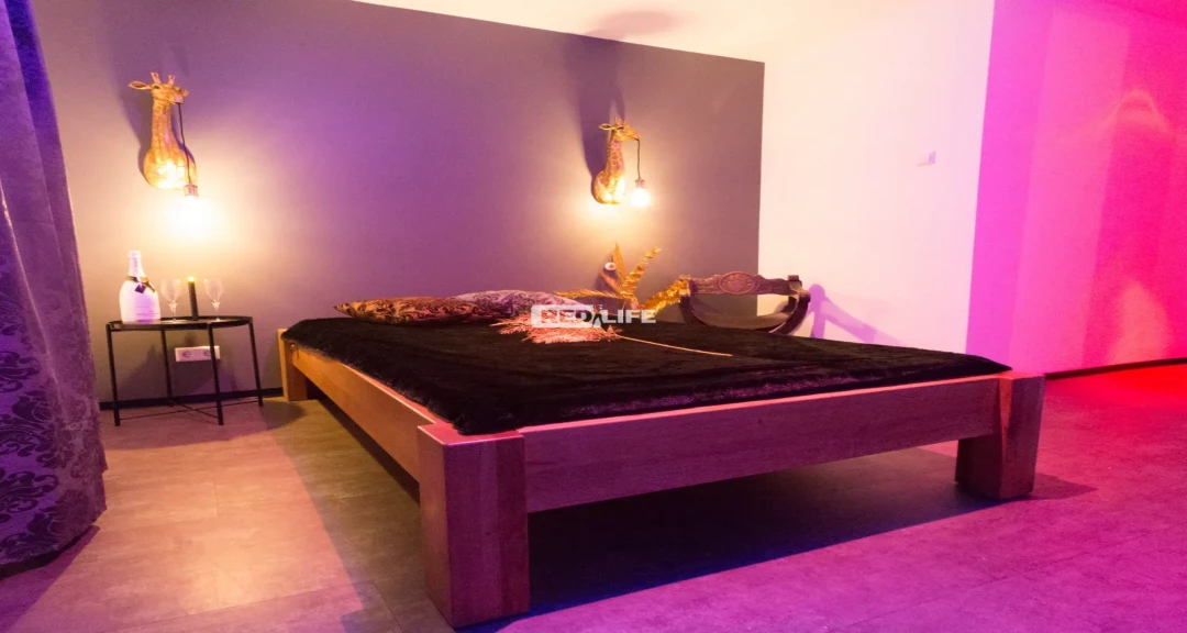 Fixní denní pronájem: 120 EUR/den,
